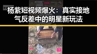 杨紫短视频爆火:真实接地气反差中的明星新玩法